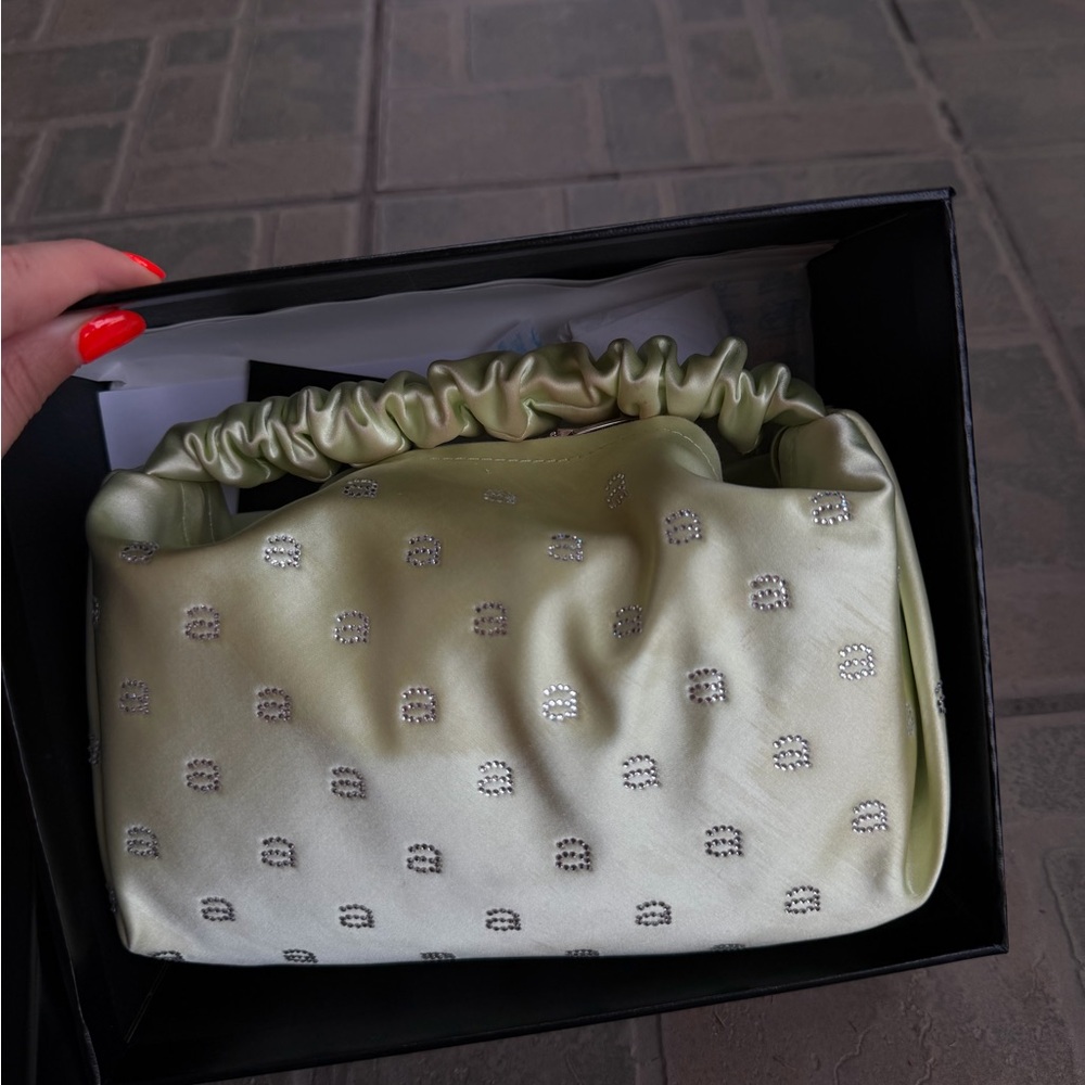 Alexander Wang Mini Bag in Light Green with Silver Accents